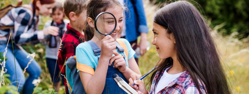 Day use escolar e aprendizagem na natureza
